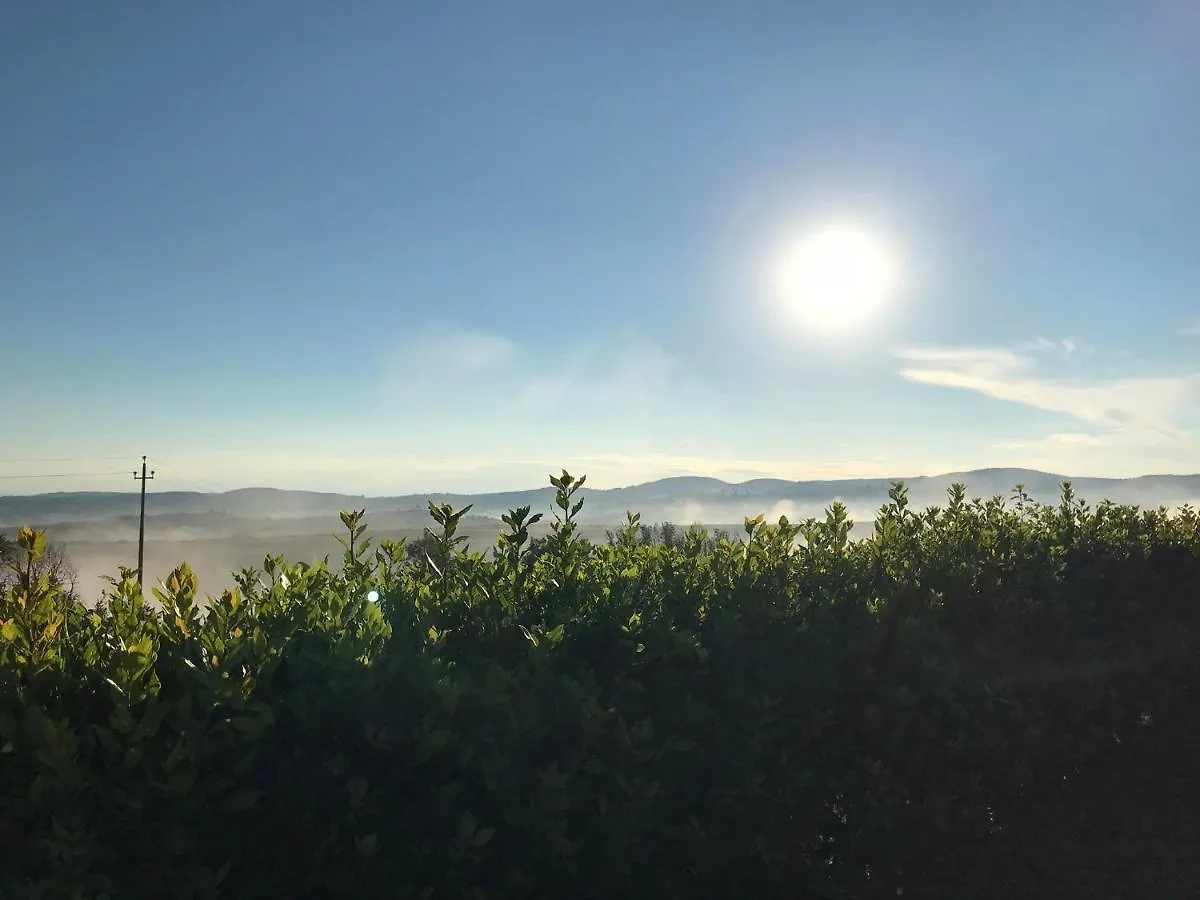 Podere Ampella Guest House San Giovanni d'Asso Holiday home
