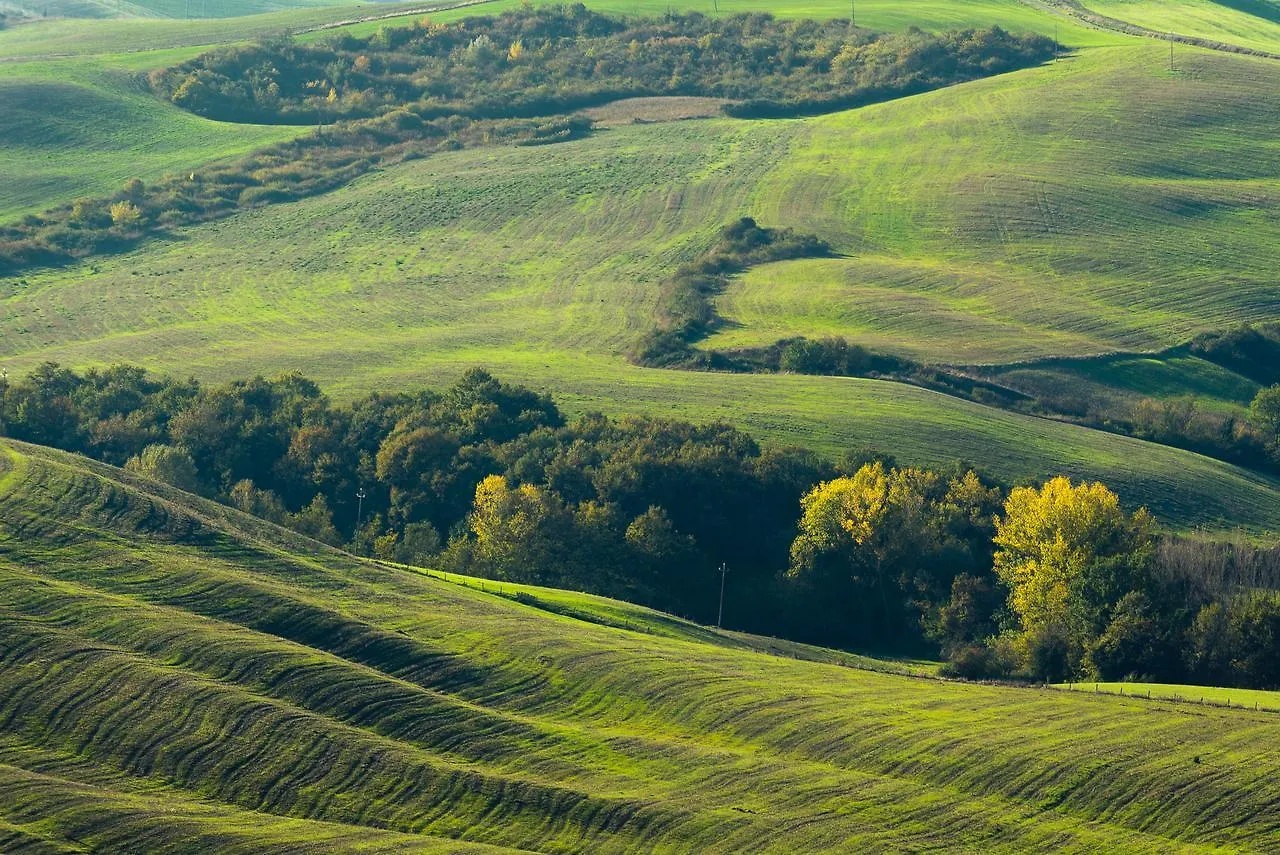 Podere Ampella Guest House San Giovanni d'Asso Holiday home